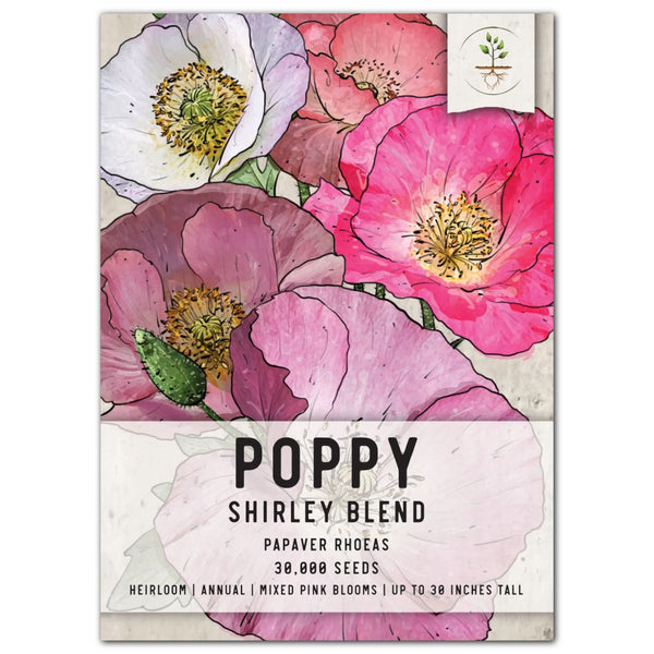 Shirley Poppy Seeds For Planting (Papaver rhoeas)