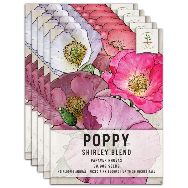 Shirley Poppy Seeds For Planting (Papaver rhoeas)