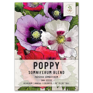 somniferum poppy seeds for planting