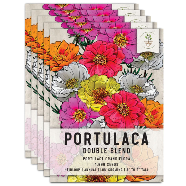 Portulaca Seeds For Planting Double Blend (Moss Rose)