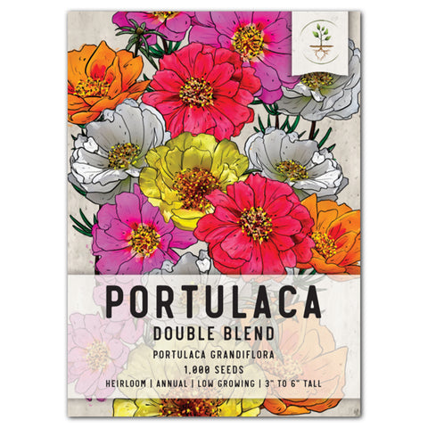 Portulaca Seeds For Planting Double Blend (Moss Rose)