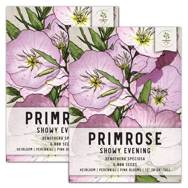 showy evening pink primrose seeds for planting