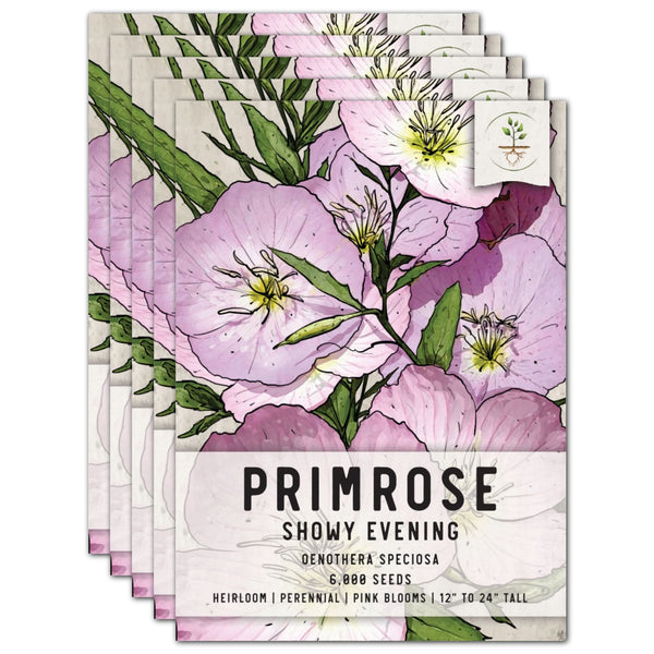 primrose flower seeds Showy Evening Primrose Seeds For Planting (Oenothera speciosa) – Seed Needs LLC