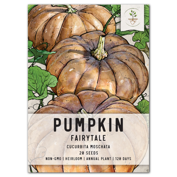 fairytale pumpkin seeds for planting