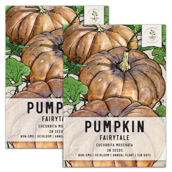 Fairytale Pumpkin Seeds For Planting (Cucurbita moschata)