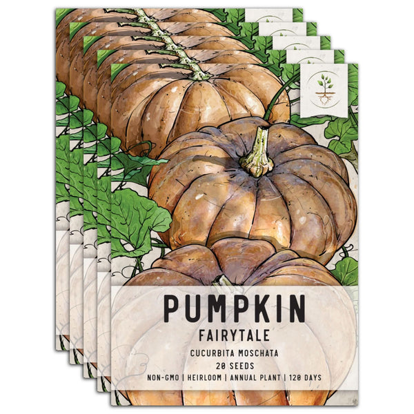 Fairytale Pumpkin Seeds For Planting (Cucurbita moschata)