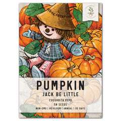 Jack Be Little Pumpkin Seeds For Planting (Cucurbita pepo)
