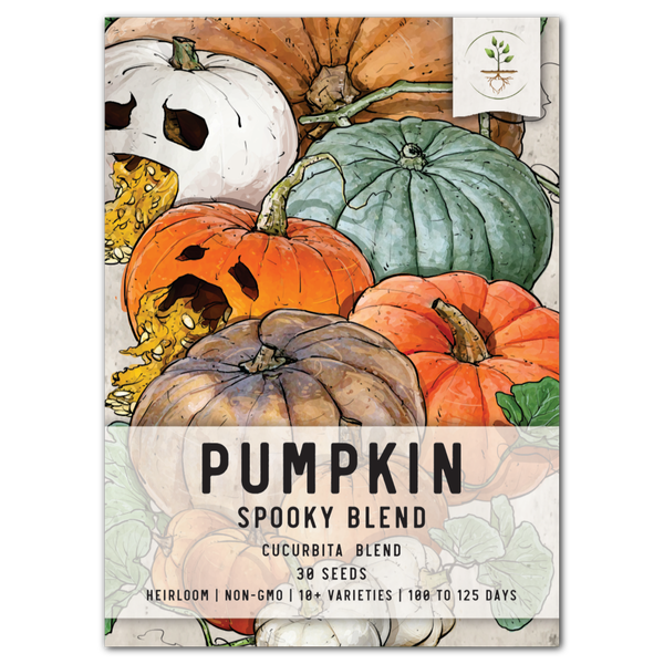 spooky mix pumpkin seeds for planting