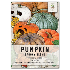 Spooky Mixture Pumpkin Seeds For Planting (Cucurbita pepo / maxima)