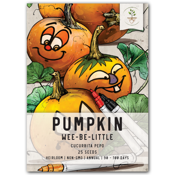 Wee B Little Pumpkin Seeds For Planting (Cucurbita pepo)