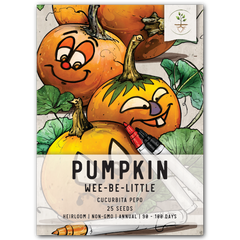 Wee B Little Pumpkin Seeds For Planting (Cucurbita pepo)