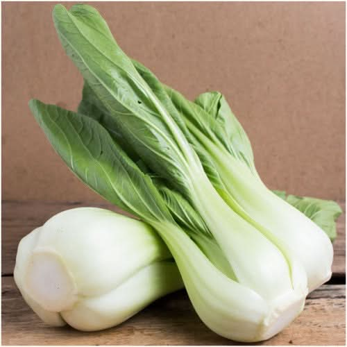 Pak Choi Cabbage