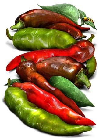 Thick Cayenne Hot Pepper Seeds For Planting (Capsicum annuum)