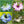 love in a mist mix seeds for planting
