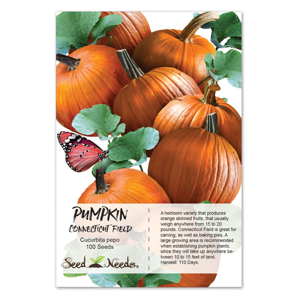 Connecticut Field Pumpkin Seeds For Planting (Cucurbita pepo)