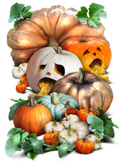Spooky Mixture Pumpkin Seeds For Planting (Cucurbita pepo / maxima)