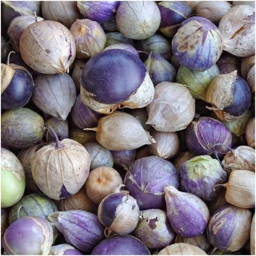 Purple Tomatillo Seeds For Planting (Physalis ixocarpa)