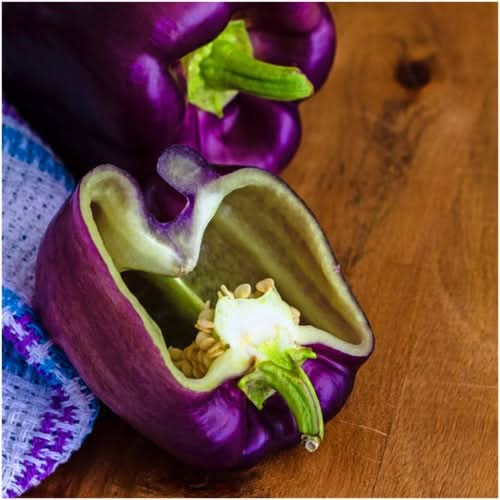 PURPLE BEAUTY BELL PEPPER SEEDS FOR PLANTING