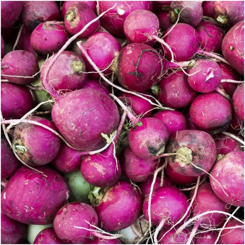 purple plum radish seeds for planting