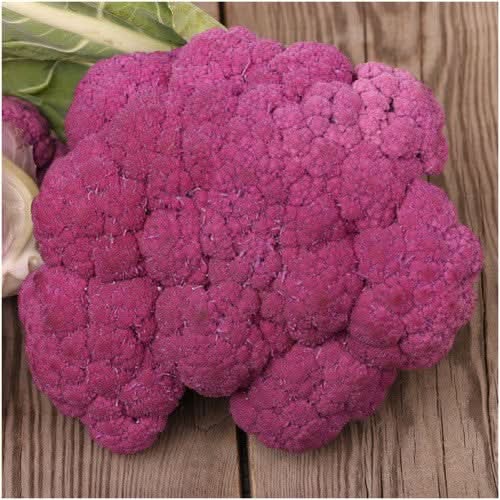 Purple Sicily Cauliflower Seeds For Planting (Brassica oleracea botrytis)