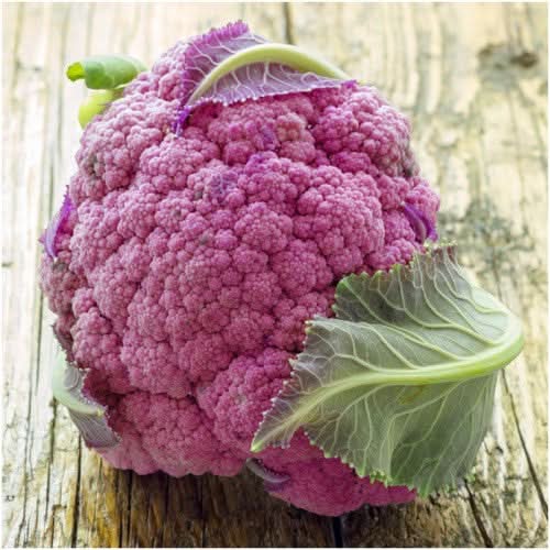 Purple Sicily Cauliflower Seeds For Planting (Brassica oleracea botrytis)