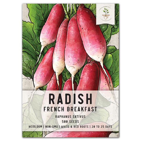 french breakfast radish seeds for planting