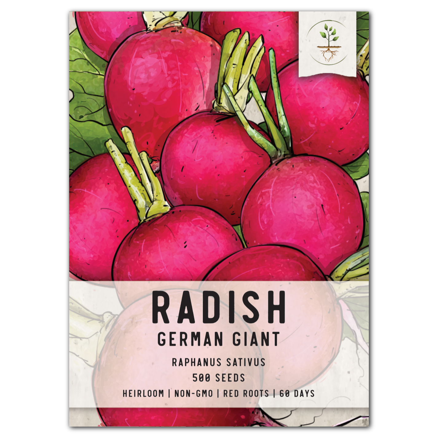 german giant radish seeds for planting
