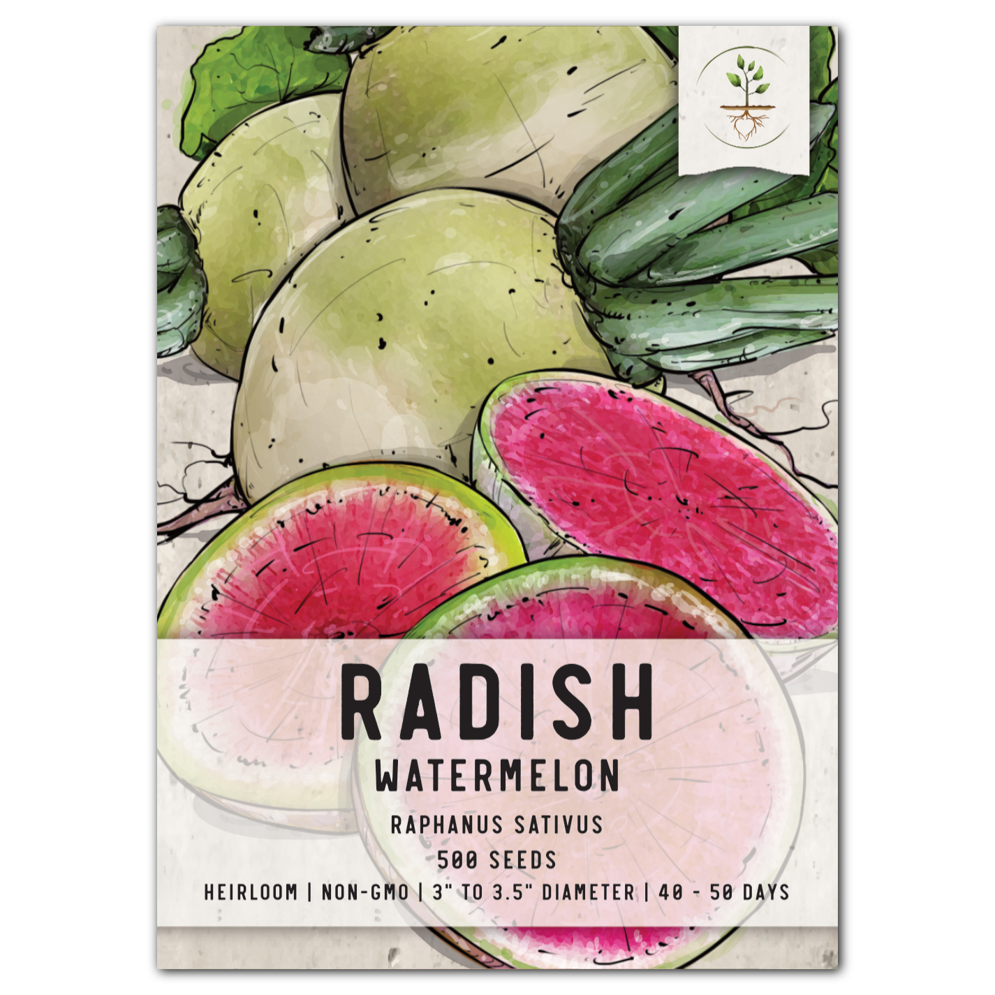 watermelon radish seeds for planting