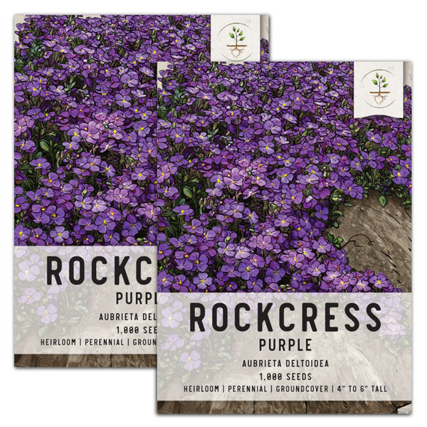 Purple Rockcress Groundcover Seeds For Planting (Aubrieta deltoidea)