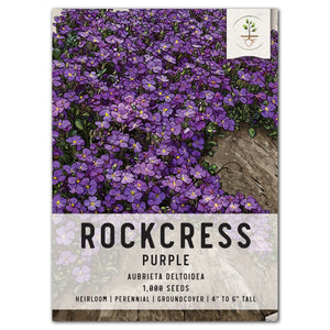 purple rockcress seeds for planting