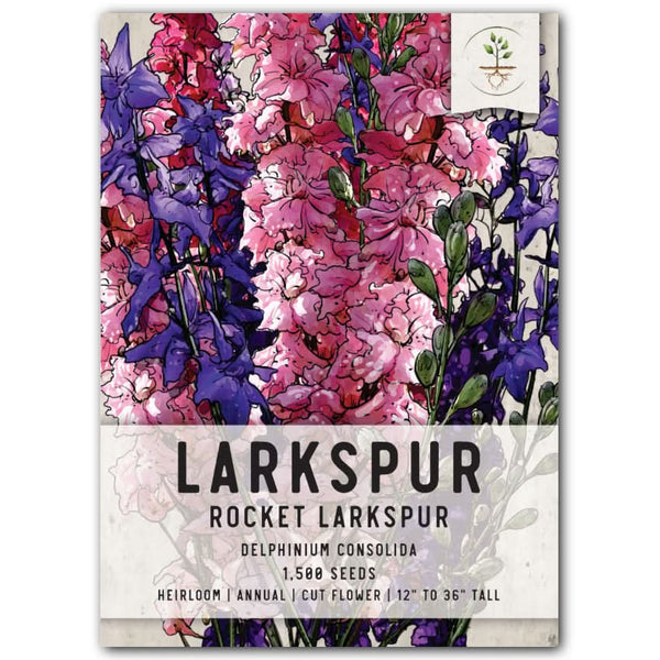delphinium seeds from plant Rocket Larkspur Seeds For Planting (Delphinium consolida) – Seed Needs LLC