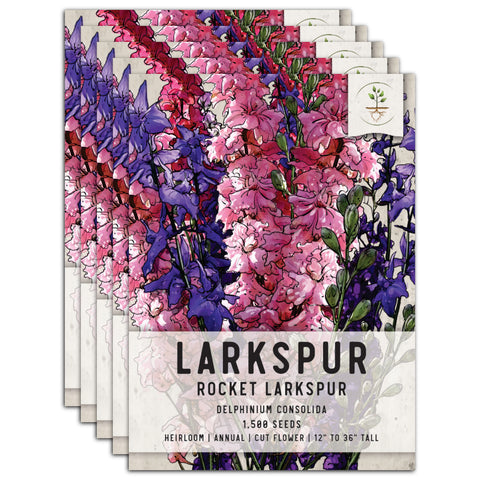 Rocket Larkspur Seeds For Planting (Delphinium consolida)