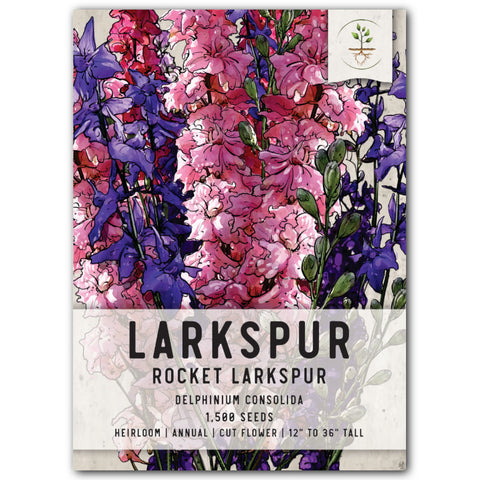 Rocket Larkspur Seeds For Planting (Delphinium consolida)
