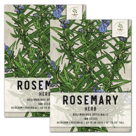 Rosemary Herb Seeds For Planting (Rosemarinus officinalis)