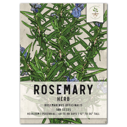 Rosemary Herb Seeds For Planting (Rosemarinus officinalis)