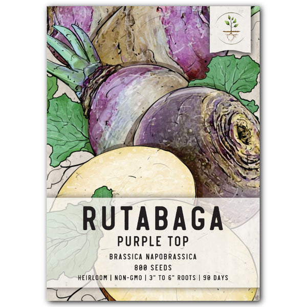 purple top rutabaga seeds for planting