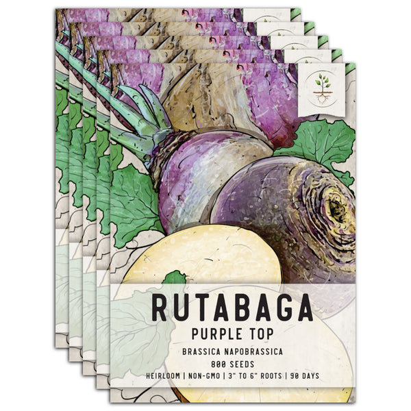 Purple Top Rutabaga Seeds For Planting (Brassica napus)