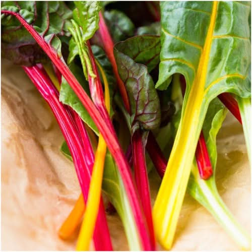 rainbow swiss chard seeds for planting