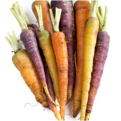 Rainbow Carrot Seeds For Planting (Daucus carota)
