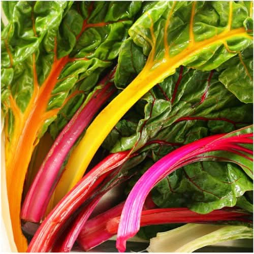 rainbow swiss chard seeds for planting