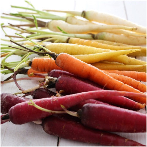 rainbow carrot seeds for planting