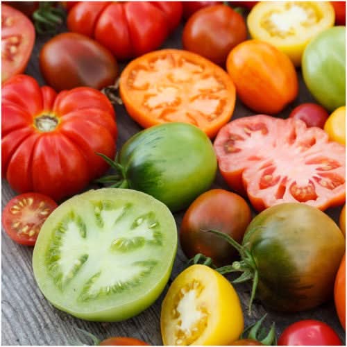 Tomato Seeds For Planting, Rainbow Mixture (Solanum lycopersicum)