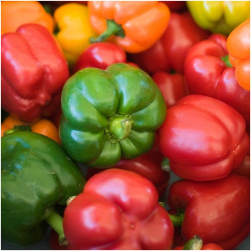 Rainbow Mixed Bell Pepper Seeds For Planting (Capsicum Annuum)