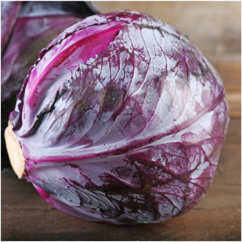 Red Acre Cabbage Seeds For Planting (Brassica oleracea)