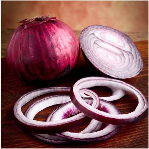 Red Burgundy Onion Seeds For Planting (Allium cepa)