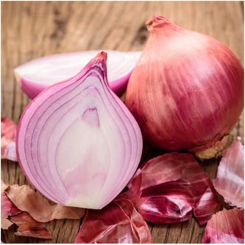Red Burgundy Onion Seeds For Planting (Allium cepa)