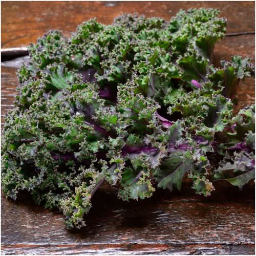 Red Russian Kale Seeds For Planting (Brassica napus)