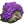 purple rockcress seeds for planting