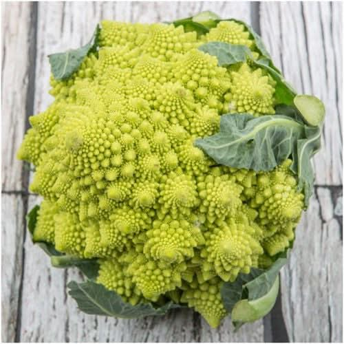 romanesco broccoli seeds for planting