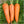 royal chantenay carrot seeds for planting